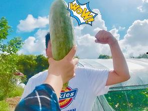 一起吃瓜网红,揭秘娱乐圈背后的秘密与真相 第2张 一起吃瓜网红,揭秘娱乐圈背后的秘密与真相 第2张